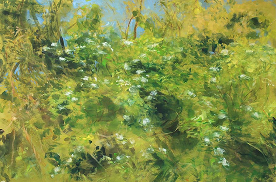 Bild des Teilnehmers Benjamin Nachtwey