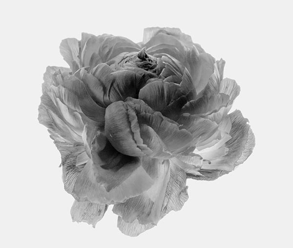Bild der Teilnehmerin Nina E. Reiter