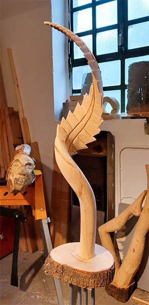 Bild des Teilnehmers Francisco Mateos