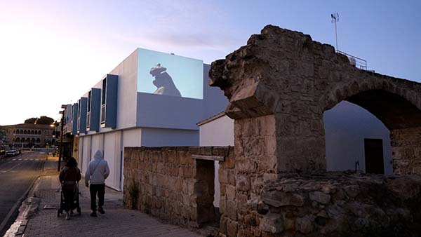Bild des Teilnehmers Michalis Nicolaides