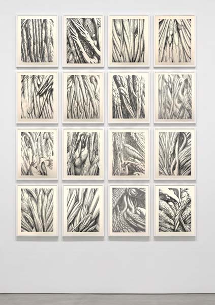 Bild des Teilnehmers Salon J75